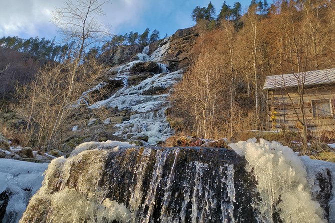 PRIVATE GUIDED TOUR: Norway's Highlights  Viking Special, 11-12 hours  WINTER - The Village of Flåm and the Stegastein Viewpoint