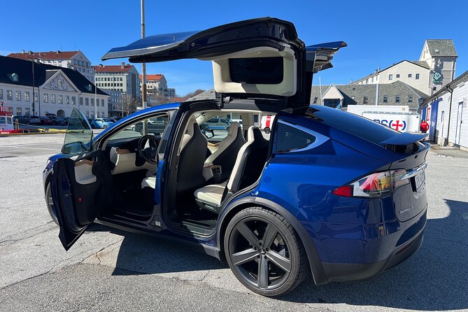 Private Guided Tour of Bergen and the Best of Norwegian Fjords - Lunch and Views in Øystese Village