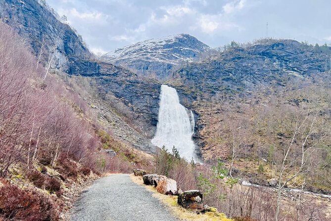 Private Guided Tour of Bergen and the Best of Norwegian Fjords - Hardangerfjord Bridge and Fjord Views
