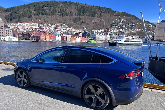 Private Guided Tour of Bergen and the Best of Norwegian Fjords - Steinstøberget Rasteplass for Mountain and Apple Orchard Views