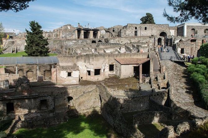 Private Guided Tour Of Naples Historic Center & Pompeii - Overview of the Pompeii Archaeological Park