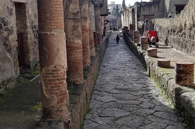 Private Guided Tour Of Naples Historic Center & Pompeii - The Guide and Transportation: Professional and Convenient