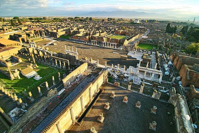 Private Guided Tour of Pompeii and Herculaneum - The Expertise of Your Guides and Their Multilingual Skills