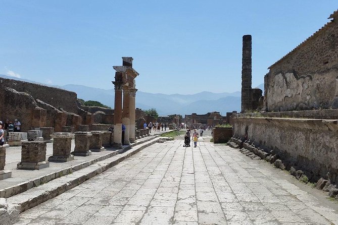 Private Guided Tour of Pompeii and Herculaneum - Cost and Booking Considerations
