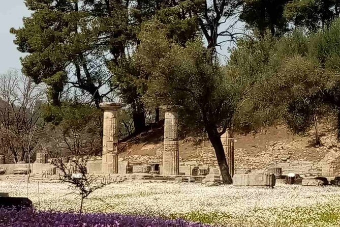 Private Guided Tour of the Archaeological Site and Museum of Olympia - Visiting the Sacred Temple of Zeus and Hera