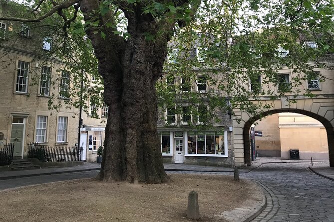 Private Guided Tour of Windsor, Stonehenge and Bath - Comfort and Convenience on the Transport