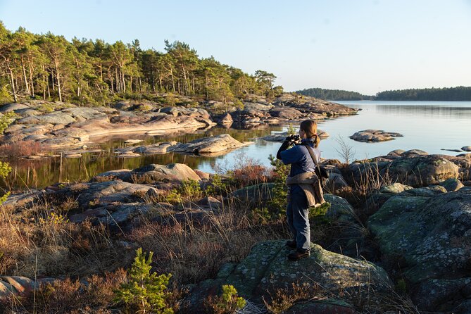 Private Guided Tour on Lake Vänern - The Wildlife Highlights: Eagles, Terns, and More