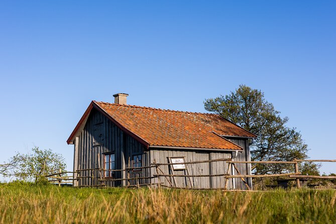 Private Guided Tour on Lake Vänern - Safety and Comfort: Equipment and Logistics