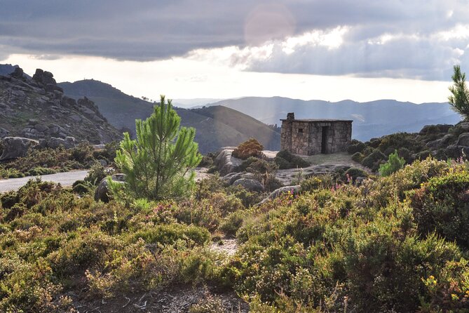 Private Guided Tour - Peneda Gerês National Park - Explore Peneda-Gerês National Park with a Private Guide for an Intimate Experience