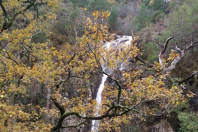 Private Guided Tour - Peneda Gerês National Park - Discovering the Biodiversity of Peneda-Gerês National Park