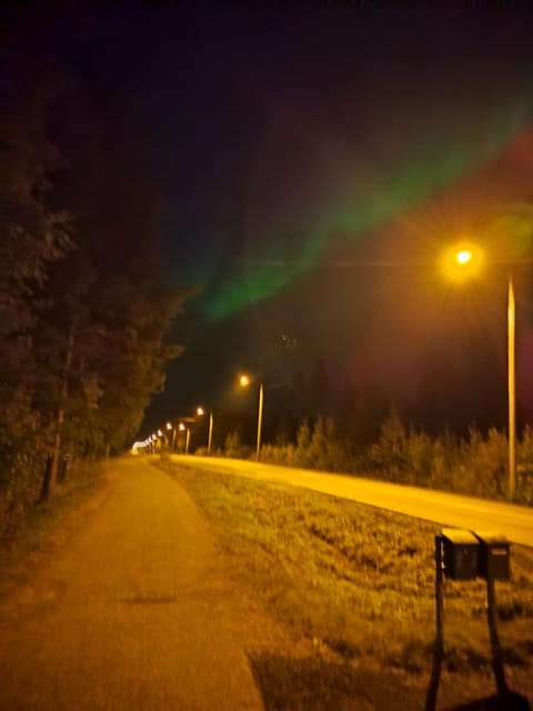 Private Guided Tour Rovaniemi To Kakslauttanen /Saariselka - The Overall Value and Suitability of the Tour