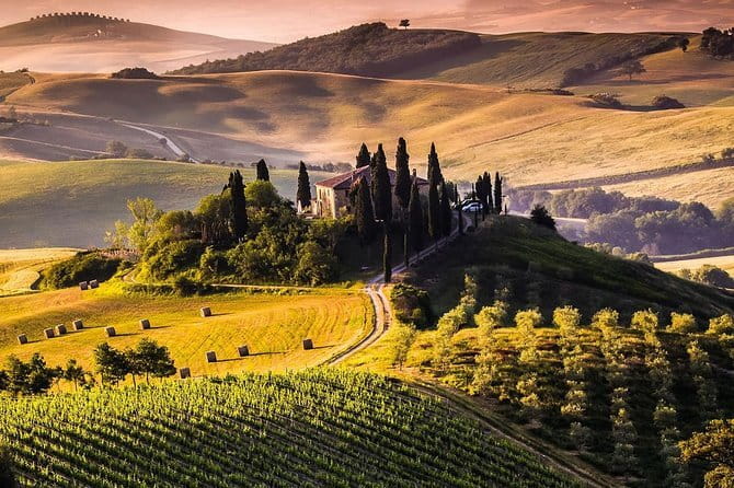Private guided tour: Siena San Gimignano and Chianti - Key Points