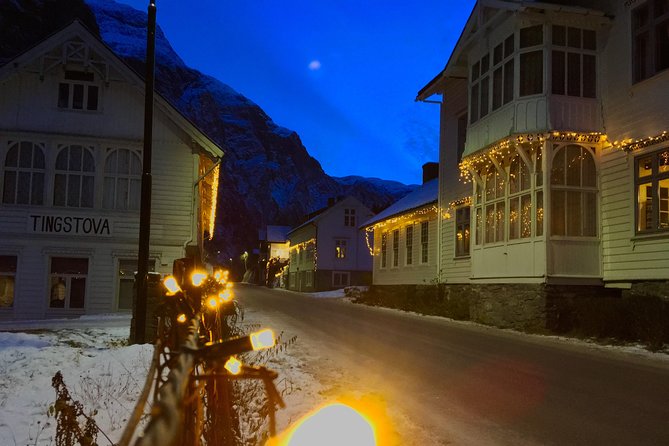 PRIVATE GUIDED TOUR: The Heart of Norway  Viking Special, 8-9 hours  WINTER - Key Points