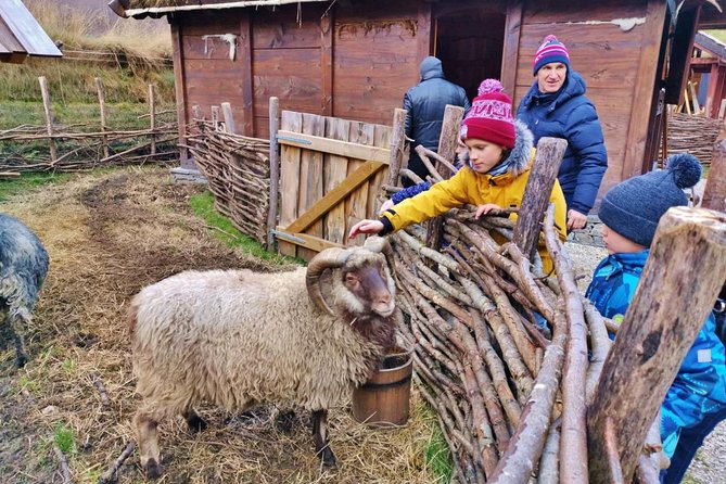 PRIVATE GUIDED TOUR: The Heart of Norway  Viking Special, 8-9 hours  WINTER - Bakka Church and Fjord Views
