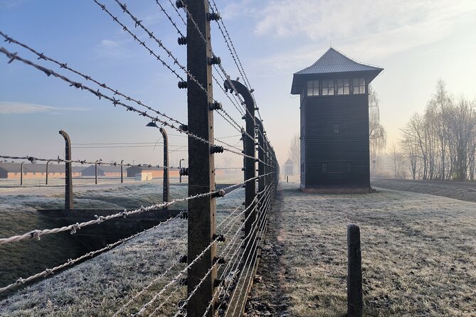 Private Guided Tour to Auschwitz & Birkenau from Krakow - Comparing This Tour to Other Auschwitz-Birkenau Visits