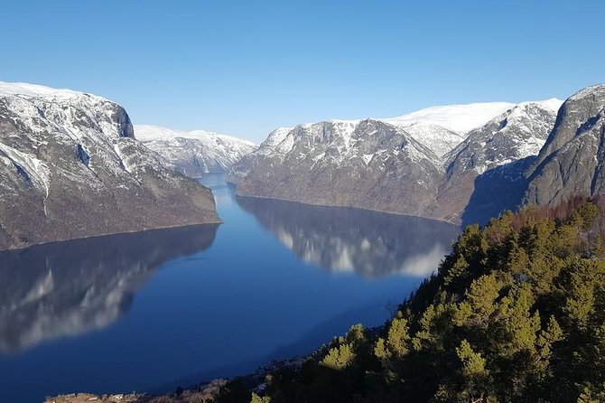 Private guided tour to Oslo - Nærøyfjord Cruise & Flåm Railway - The Bergen Railway: Crossing the Hardangervidda Plateau