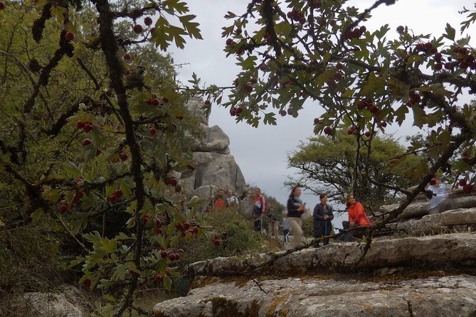 Private Guided Tour to Torcal de Antequera - The Expertise of Your Local Guide