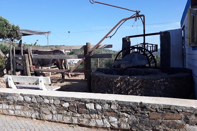 Private-Guided Tuk Tuk Country Side Tour - Exploring Paderne and Tasting Melosa