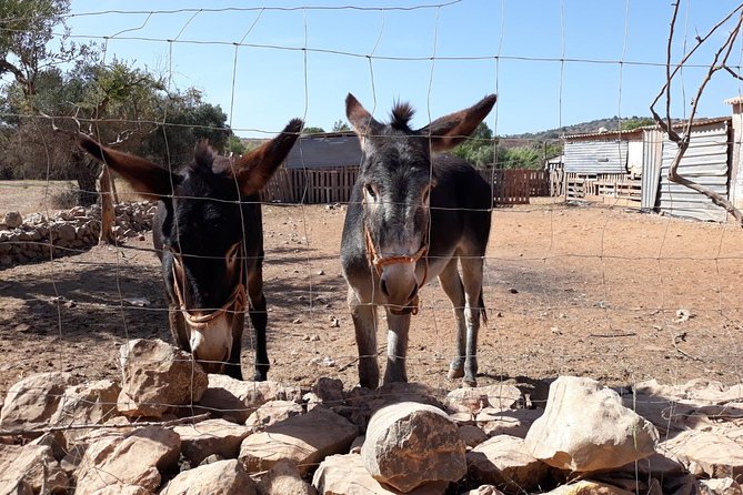 Private-Guided Tuk Tuk Country Side Tour - Fonte Grande: Water and Waterfalls in the Hills