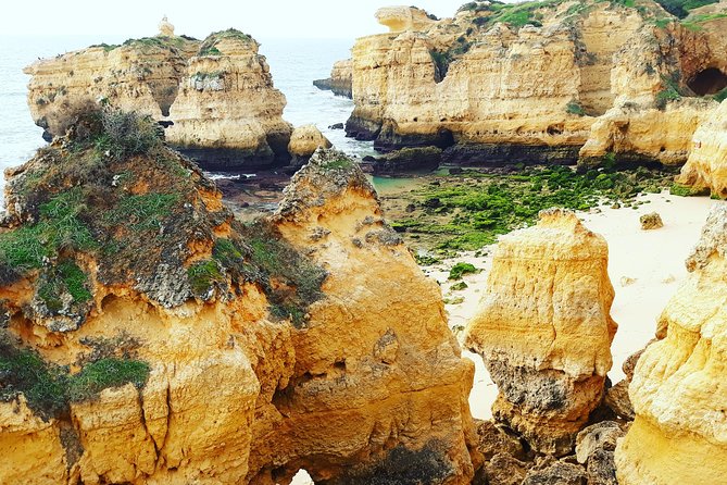 Private Guided Tuk-Tuk Tour with Pick-Up and Drop-Off of Albufeira - Visiting Cliff Richards Winery