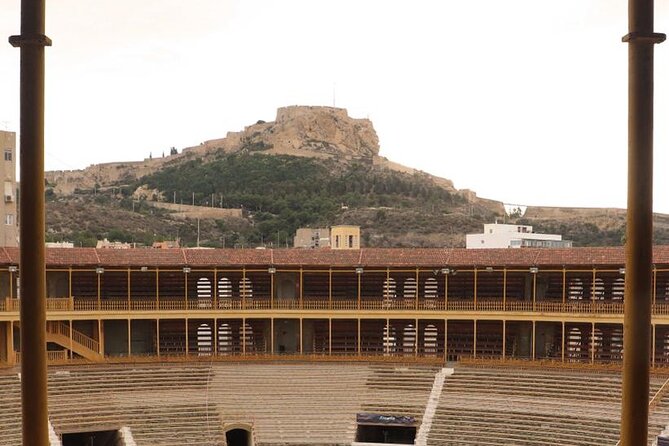 Private Guided Visit to the Alicante Bullring and Museum - The Museum: Art, Posters, and Films