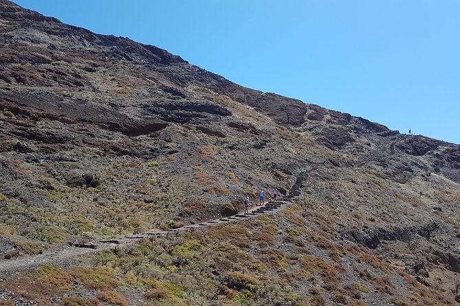 Private Guided Walk Ponta São Lourenço - Additional Options: Post-Walk Lunch and Flexibility