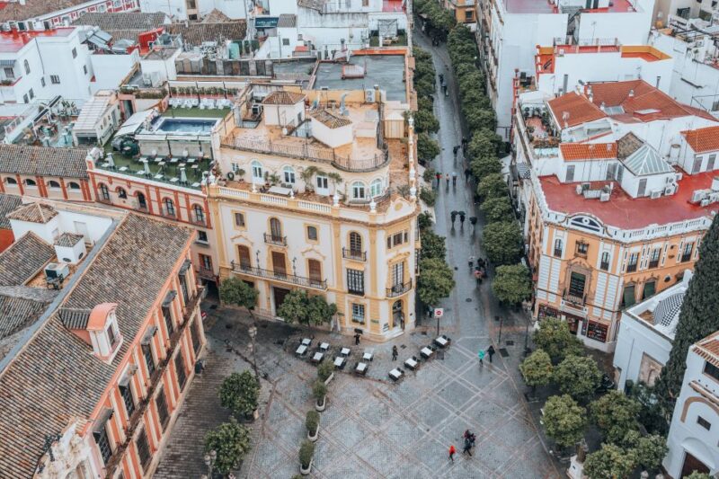 Private Guided Walking Tour in Seville (1h tapas tour) - Discover Seville’s Charm with a Private 4-Hour Walking Tour and Tapas Experience