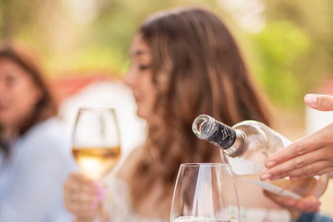 Private Guided Wine Tasting with Tour of the Vineyards in Vieste - Discover the Charm of Il Mandrione Estates in Vieste