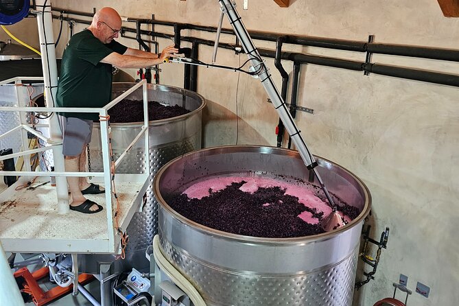 Private Guided Wine Tour of Napa Valley - From Iconic Wineries to Private Tastings