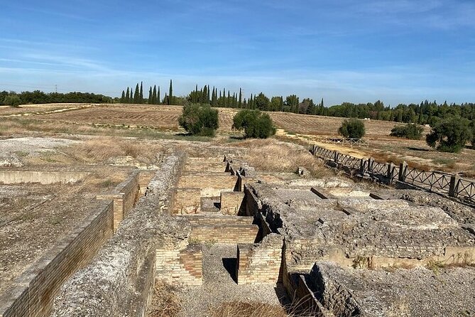 Private hald day tour to the historic roman city of Italica - Logistics and Meeting Arrangements