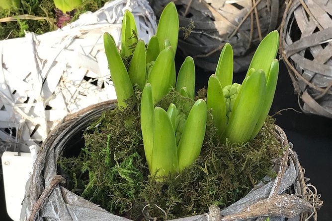 Private Half-Day Amsterdam Market Tour by Bike - Is This Tour Right for You?