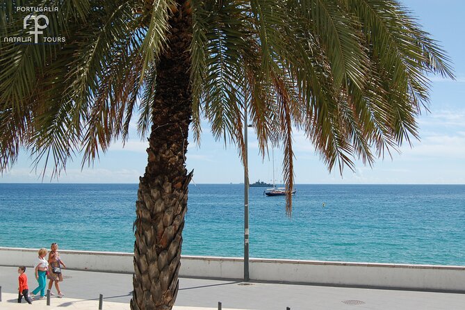 Private Half Day Arrabida Tour with Wine Tasting in Sesimbra - How Logistics Enhance the Experience