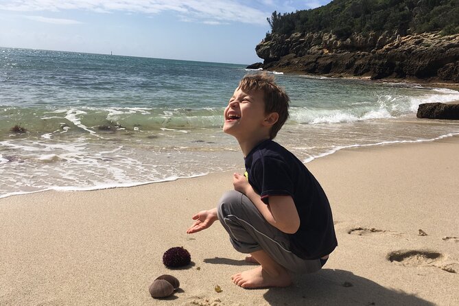 Private Half Day Arrabida Tour with Wine Tasting in Sesimbra - Why This Tour Offers Excellent Value