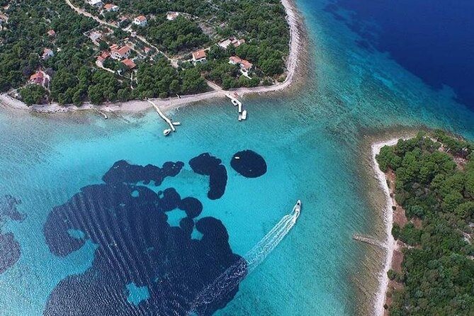 Private Half day Blue Lagoon Tour - Who Will Love This Tour?