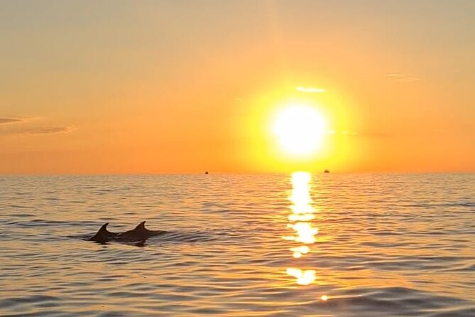 Private Half-Day Boat Excursion in Pula - A Relaxed Return to Pula Marina