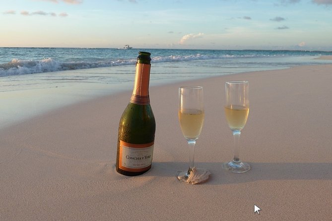 Private Half-Day Boat Tour in Ria Formosa from Faro - Exploring Deserta Island’s Sandy Beaches