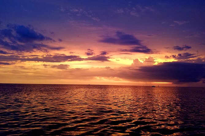 Private Half-Day Charter Tour in Naples, Florida - Logistics and Accessibility