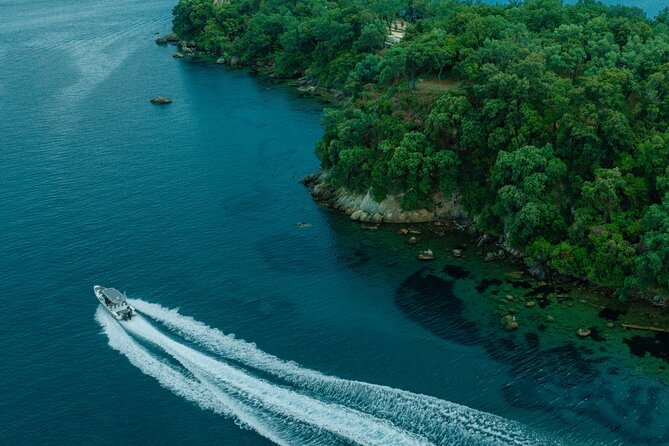 Private Half Day Cruise on a Speed Boat in Mallorca - Food, Drinks, and Onboard Relaxation