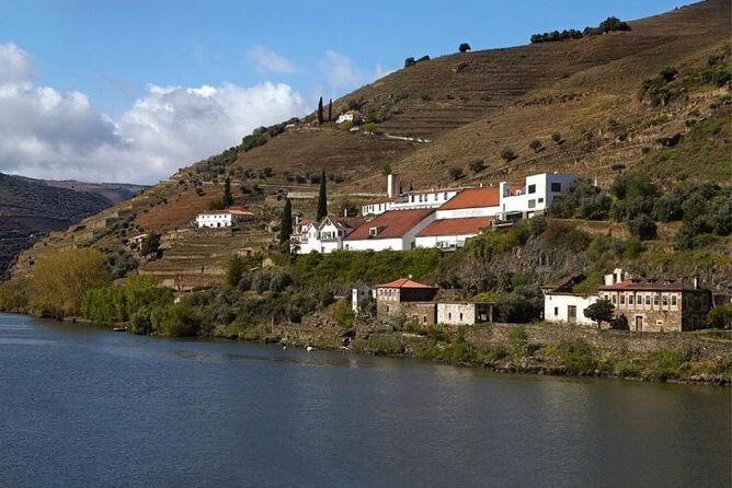 Private Half-Day Douro Tour - Wine Tasting at Quinta de La Rosa