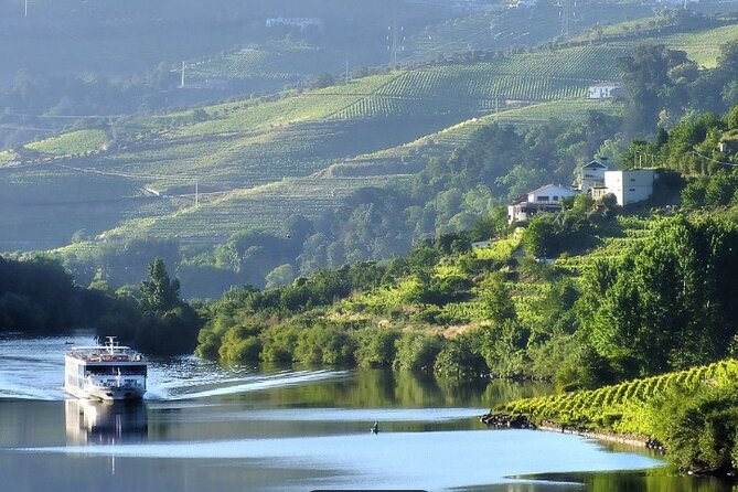 Private Half-Day Douro Tour - Return to Porto in Luxury Comfort
