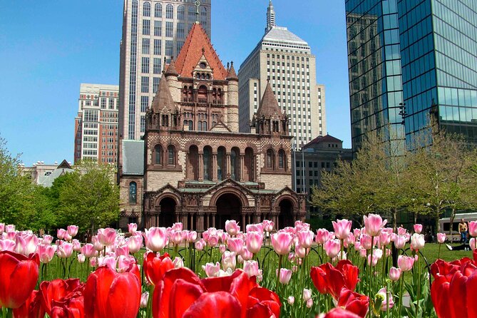 Private Half-Day Driving Tour of Boston and Cambridge - Neighborhoods and Modern Boston Highlights