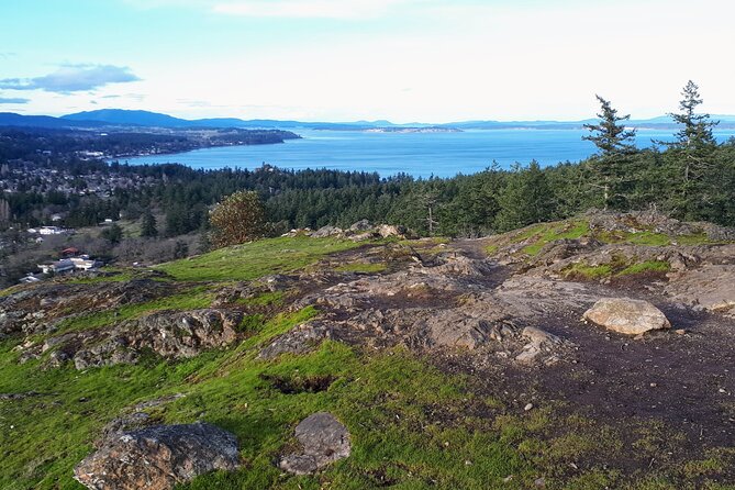 Private Half-Day Guided Nature Hike in Victoria, BC - Explore Victoria’s Coastal Forests on a Private Guided Hike