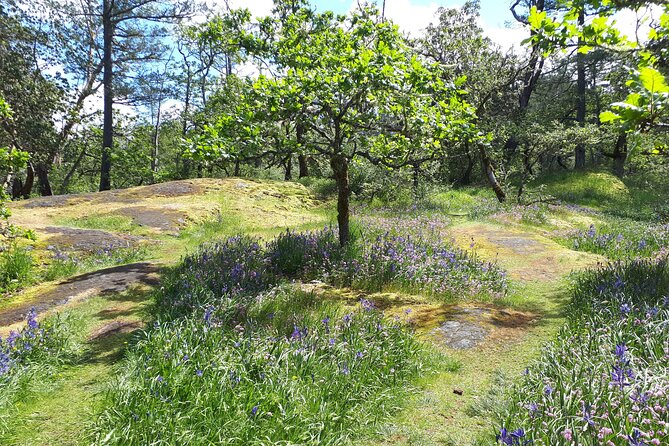 Private Half-Day Guided Nature Hike in Victoria, BC - Starting Point and Transportation Details in Victoria