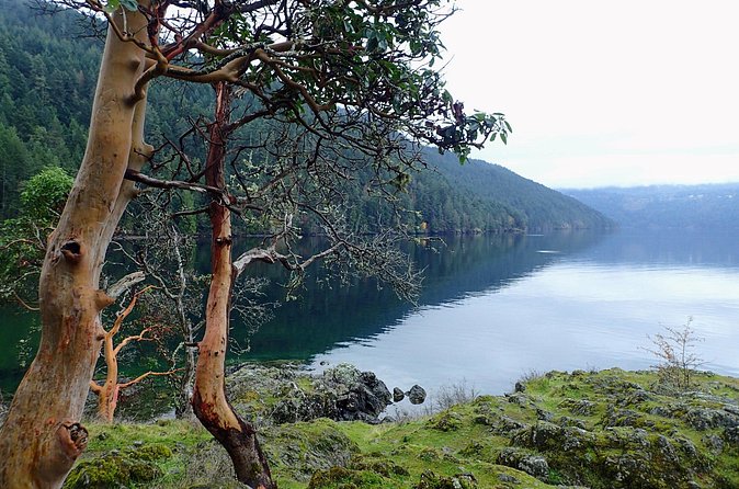 Private Half-Day Guided Nature Hike in Victoria, BC - Discover Victoria’s Wildflower Meadows and Beaches