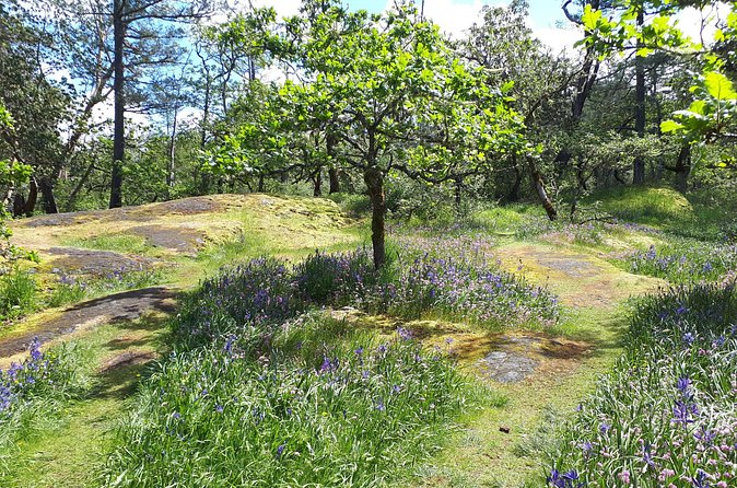 Private Half-Day Guided Nature Hike in Victoria, BC - Practical Details: Booking and Cancellation Policies