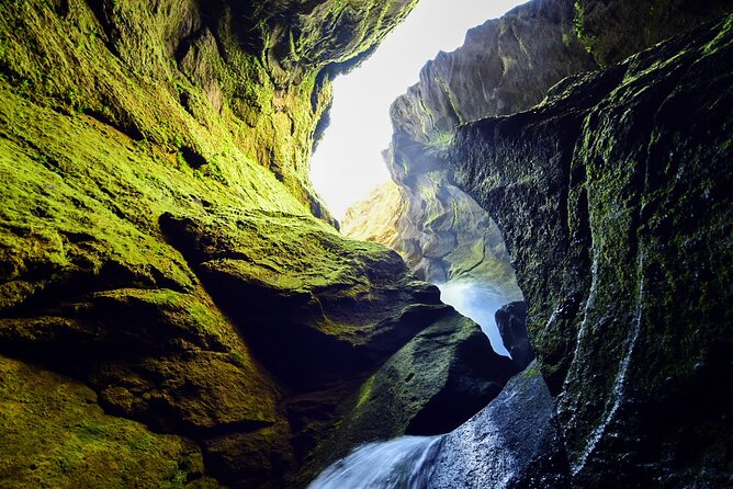 Private Half Day Iceland Tour with Guide and Vehicle - Who Will Most Enjoy This Tour?