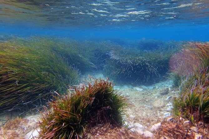 Private Half-Day Kayak Experience in Hvar and Pakleni Islands - Weather Considerations and Cancellation Policy