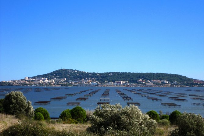 Private Half-Day Languedoc Wine and Oyster Tour from Sète - Comfort and Convenience in Transportation