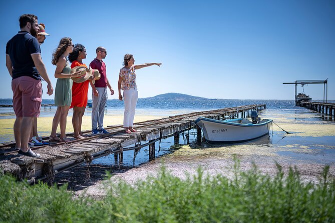 Private Half-Day Languedoc Wine and Oyster Tour from Sète - Unique Highlights: Authentic Regional Flavors in a Small Group
