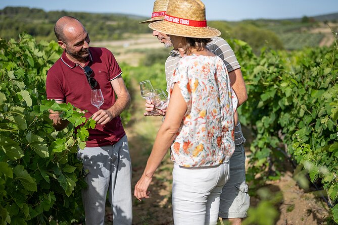 Private Half-Day Languedoc Wine Tour from Sète - Starting in Sète with Comfortable Transport